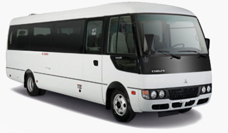 montaj-parbriz-mitsubishi-rosa