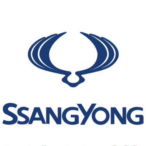 montaj parbriz ssangyong